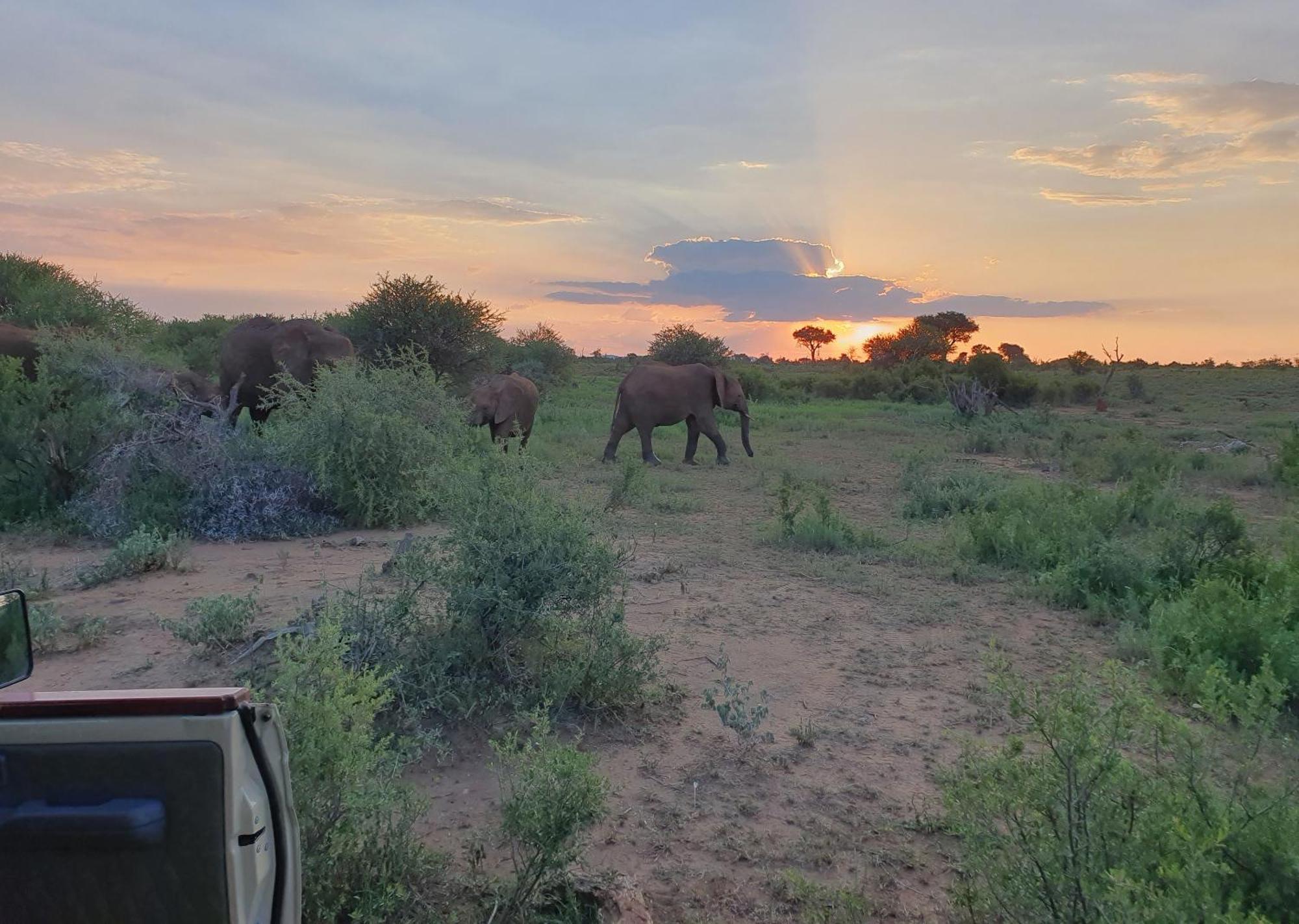 Madikwe River Lodge By Dream Resorts Madikwe Game Reserve Bagian luar foto