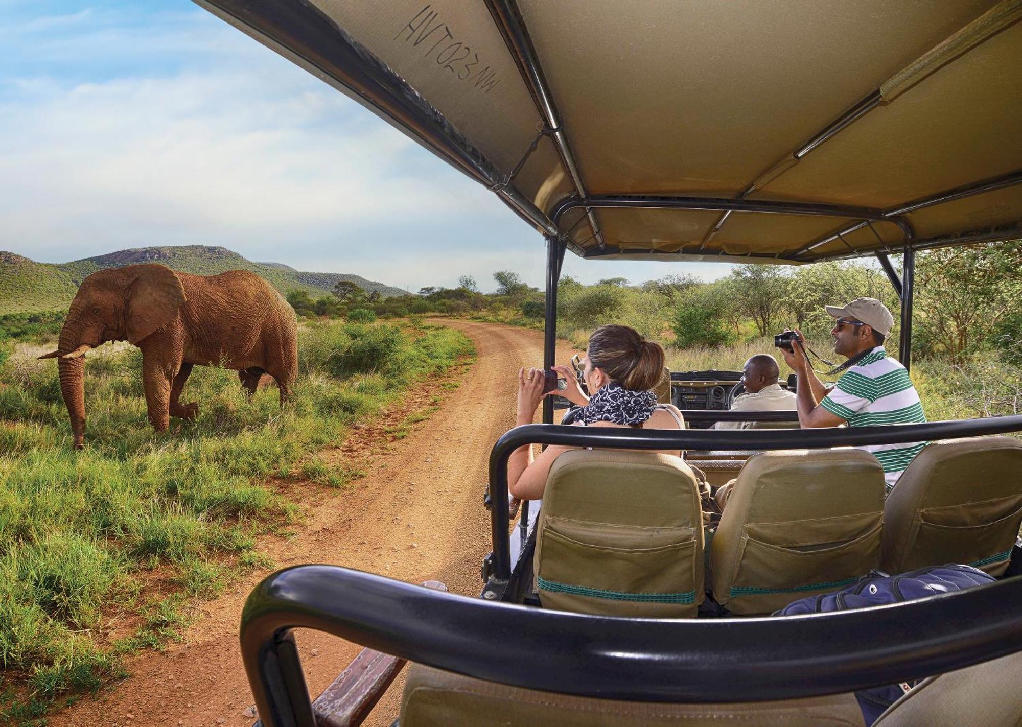 Madikwe River Lodge By Dream Resorts Madikwe Game Reserve Bagian luar foto