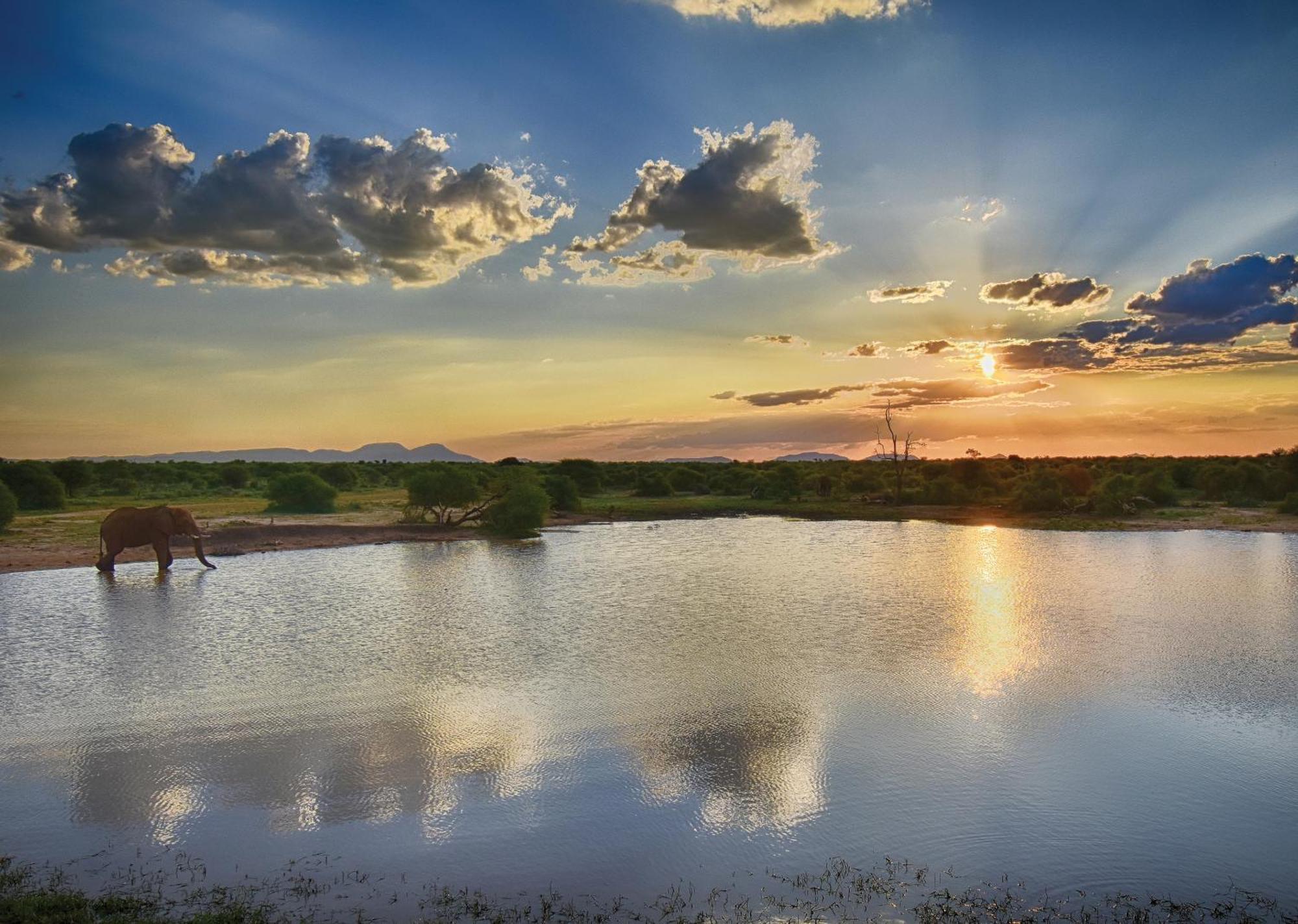 Madikwe River Lodge By Dream Resorts Madikwe Game Reserve Bagian luar foto