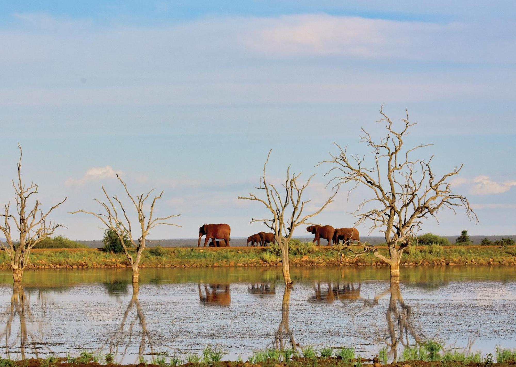 Madikwe River Lodge By Dream Resorts Madikwe Game Reserve Bagian luar foto