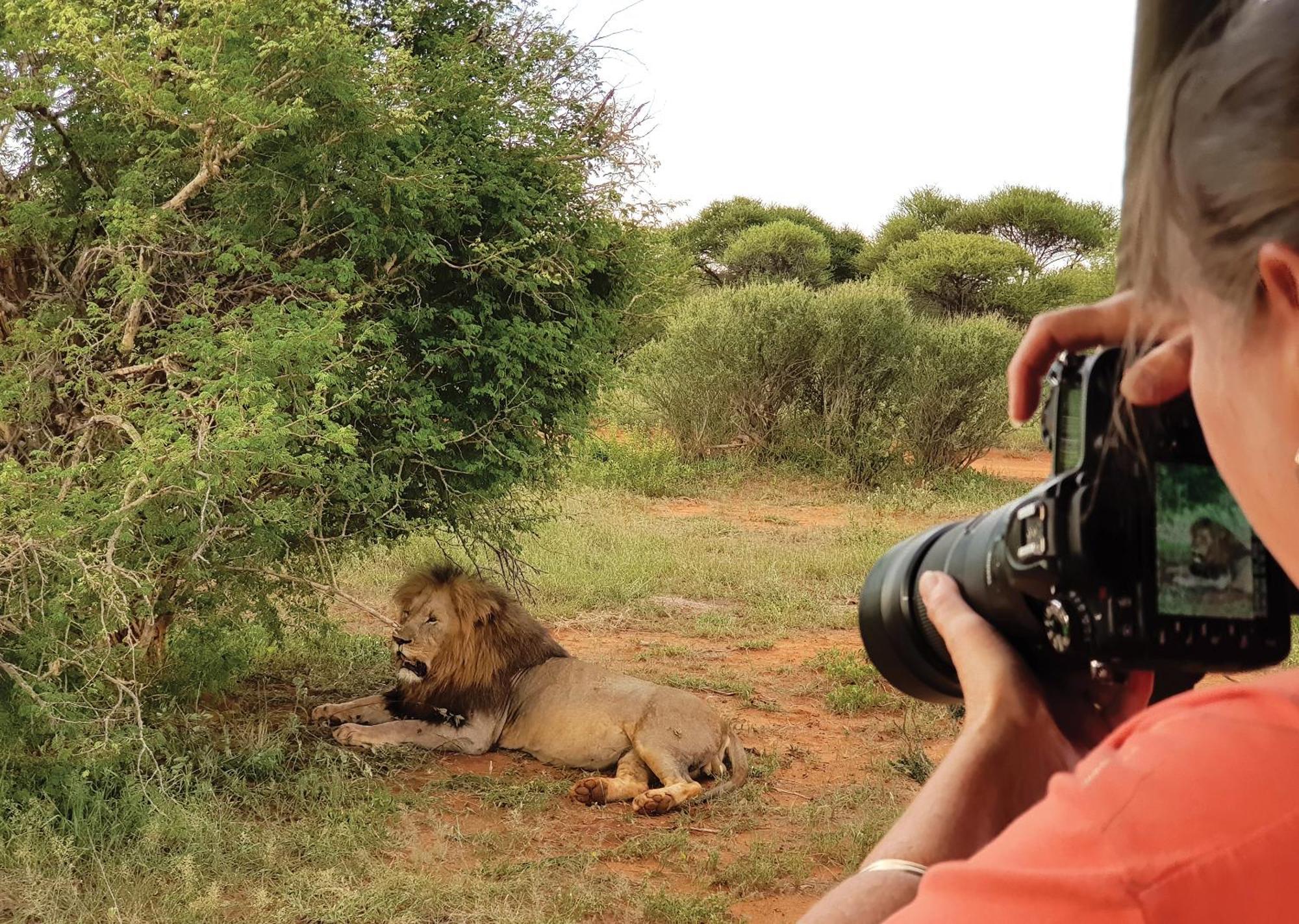 Madikwe River Lodge By Dream Resorts Madikwe Game Reserve Bagian luar foto