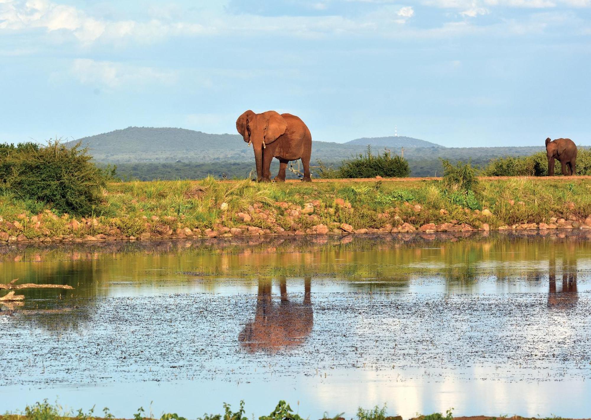 Madikwe River Lodge By Dream Resorts Madikwe Game Reserve Bagian luar foto