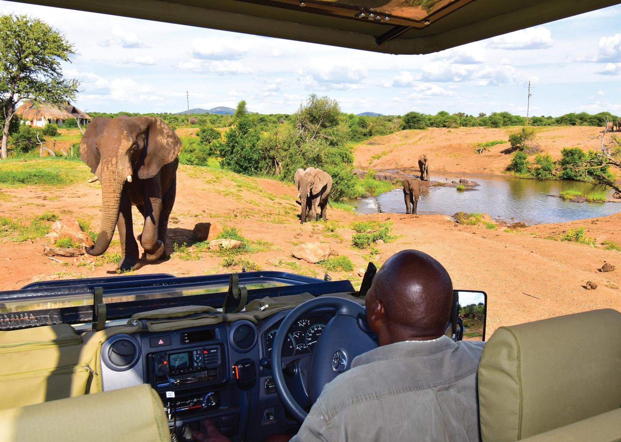 Madikwe River Lodge By Dream Resorts Madikwe Game Reserve Bagian luar foto