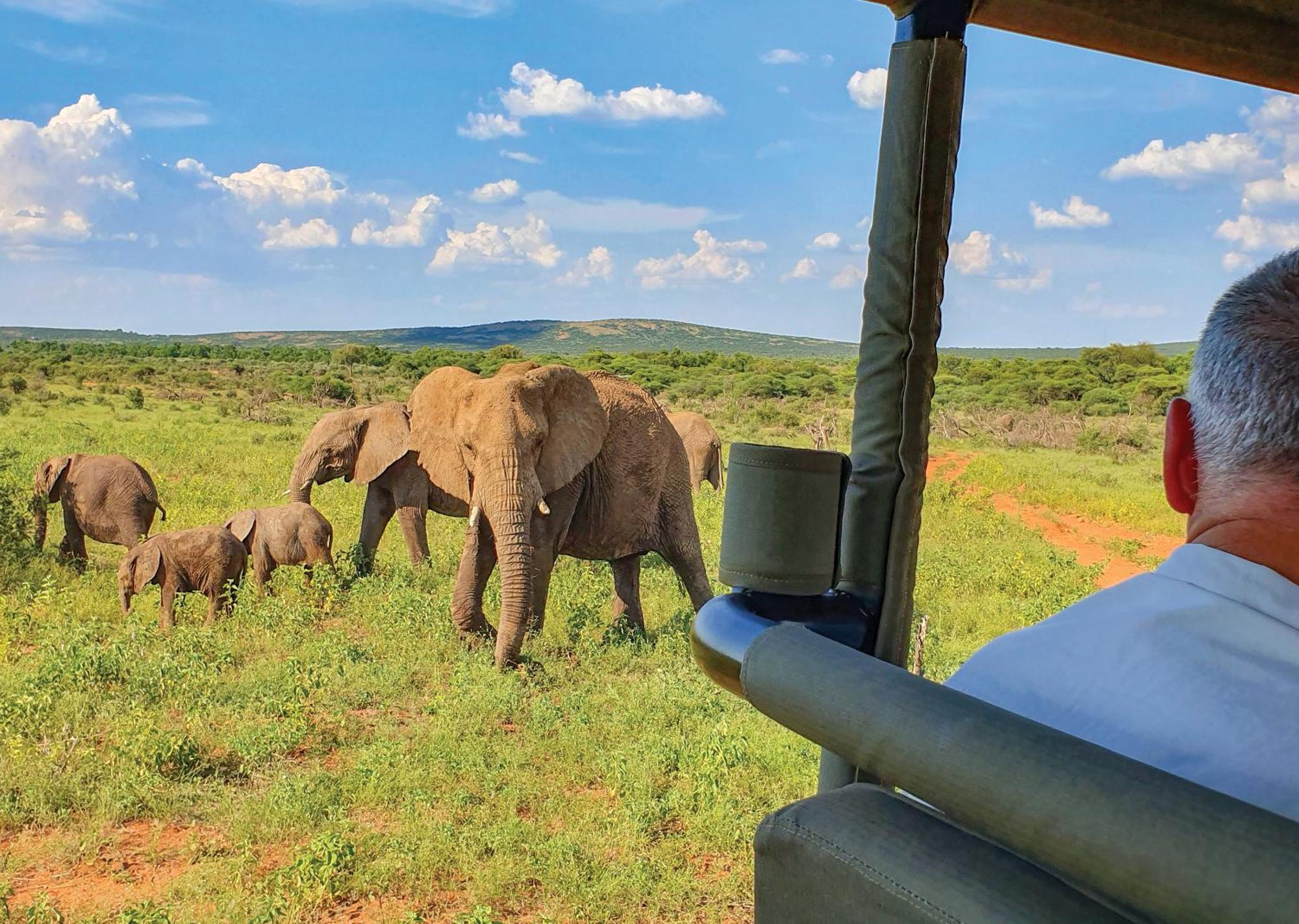 Madikwe River Lodge By Dream Resorts Madikwe Game Reserve Bagian luar foto