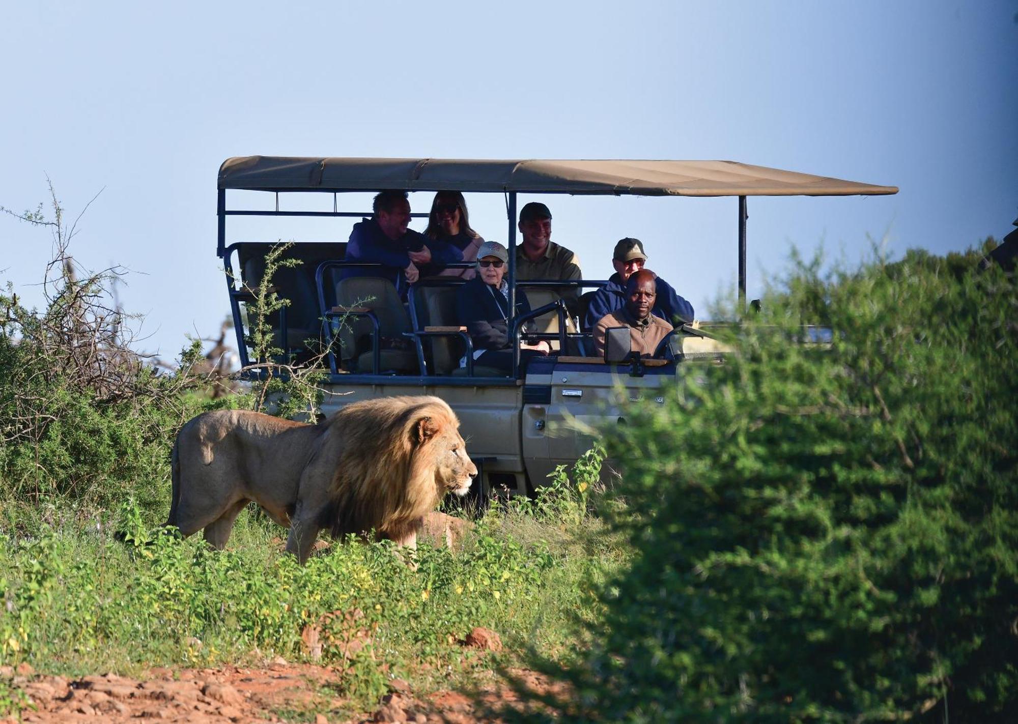 Madikwe River Lodge By Dream Resorts Madikwe Game Reserve Bagian luar foto