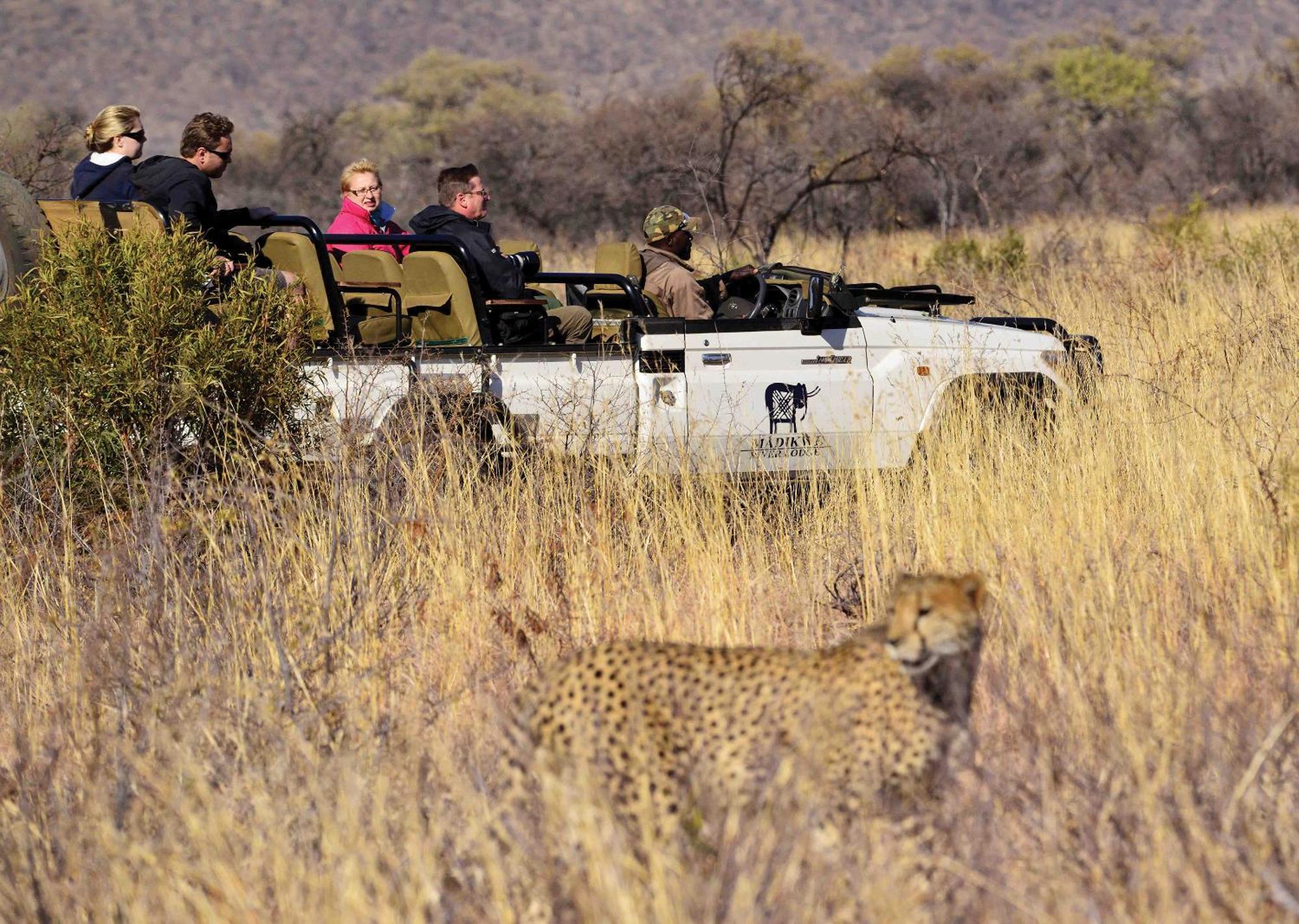 Madikwe River Lodge By Dream Resorts Madikwe Game Reserve Bagian luar foto