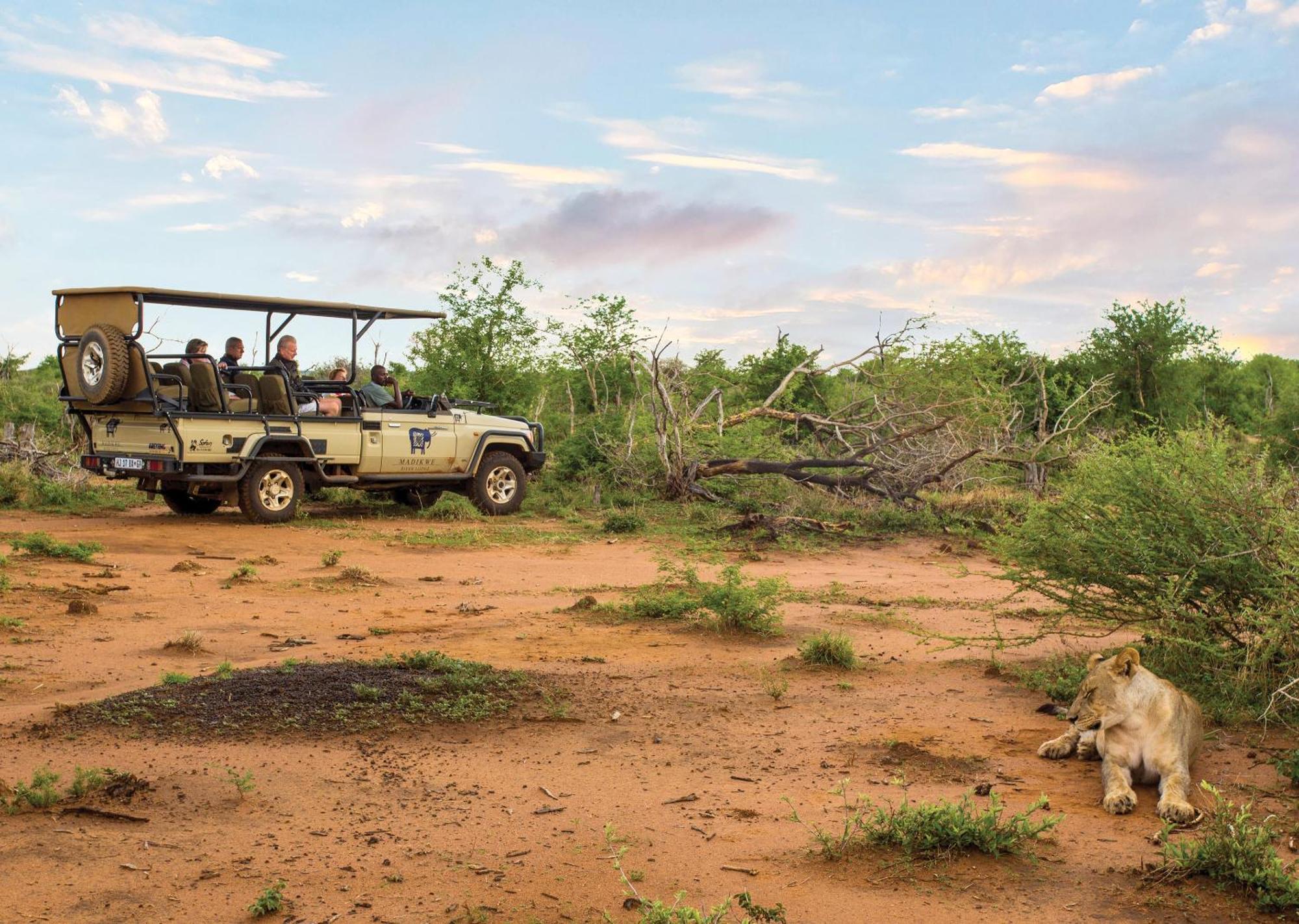 Madikwe River Lodge By Dream Resorts Madikwe Game Reserve Bagian luar foto