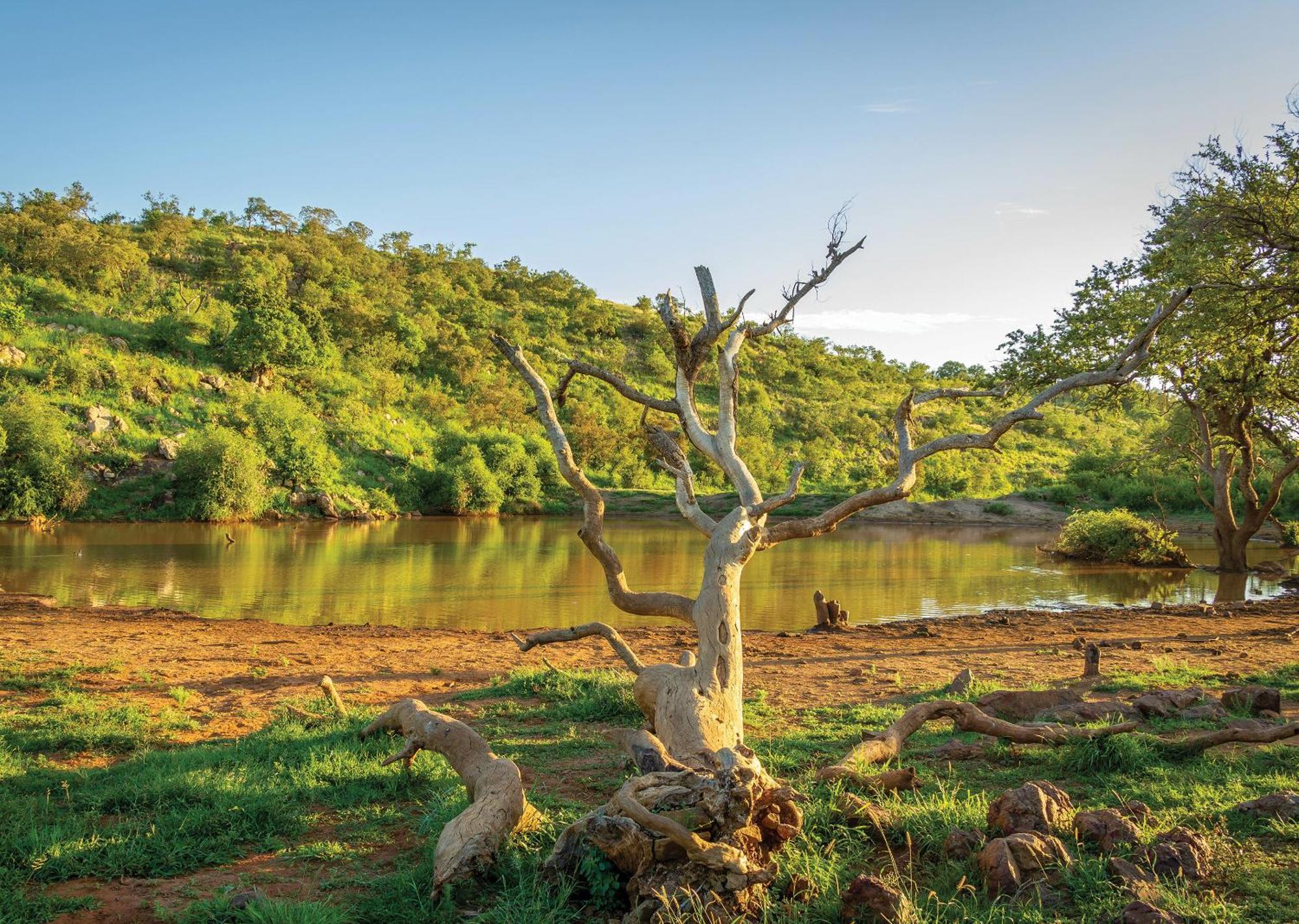 Madikwe River Lodge By Dream Resorts Madikwe Game Reserve Bagian luar foto