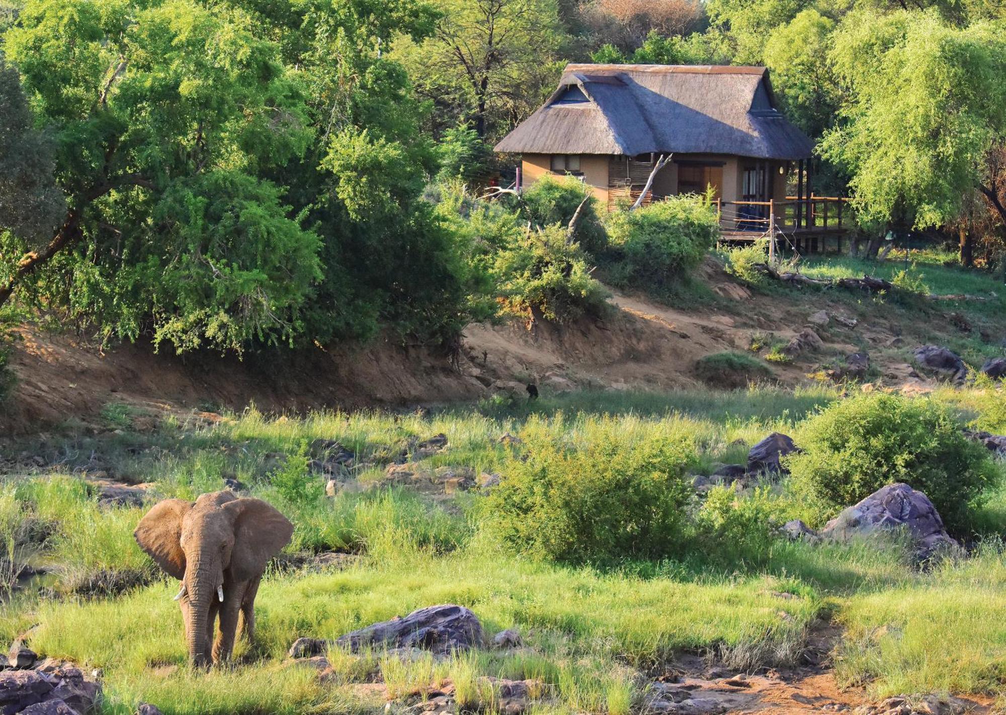 Madikwe River Lodge By Dream Resorts Madikwe Game Reserve Ruang foto