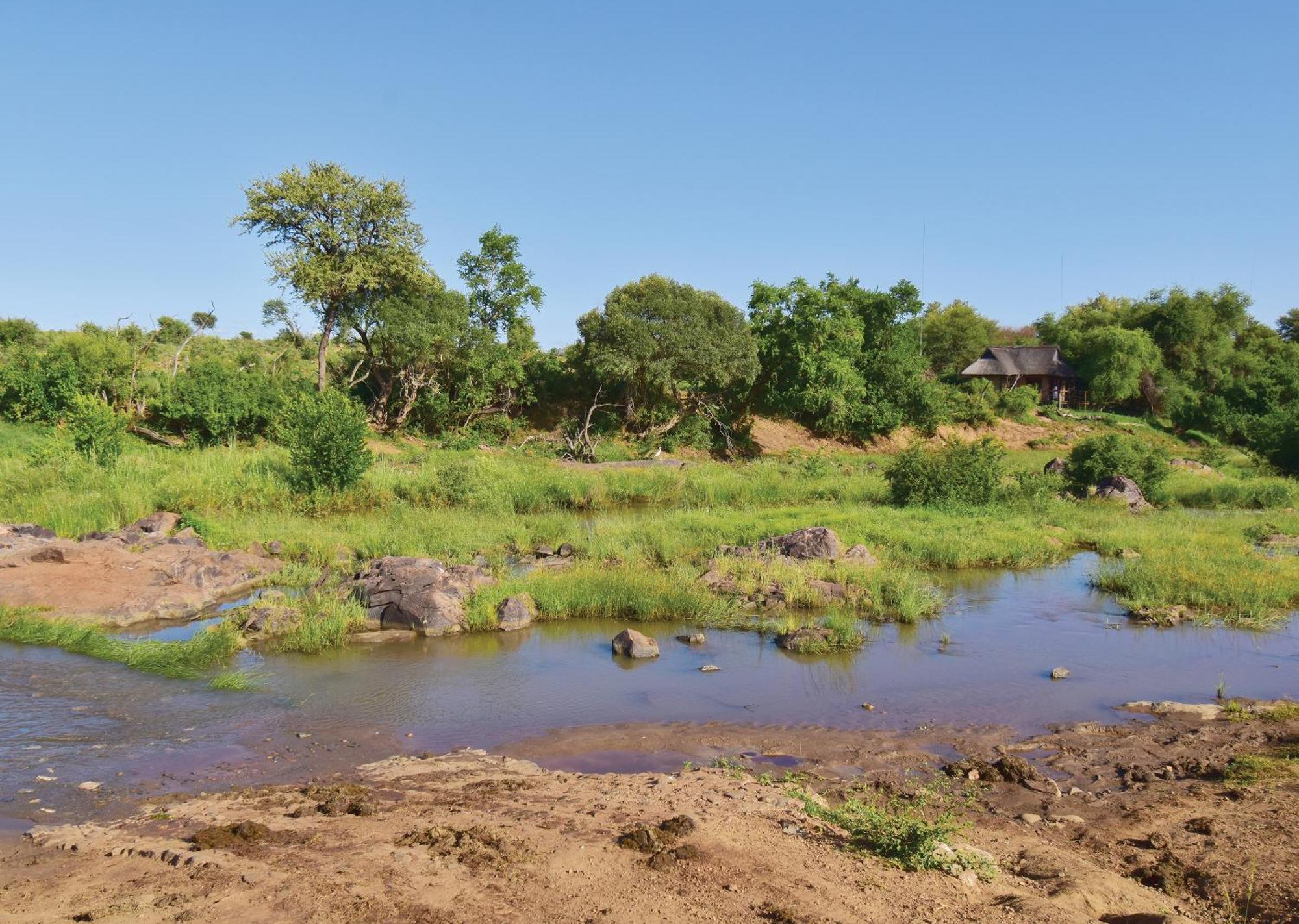 Madikwe River Lodge By Dream Resorts Madikwe Game Reserve Ruang foto