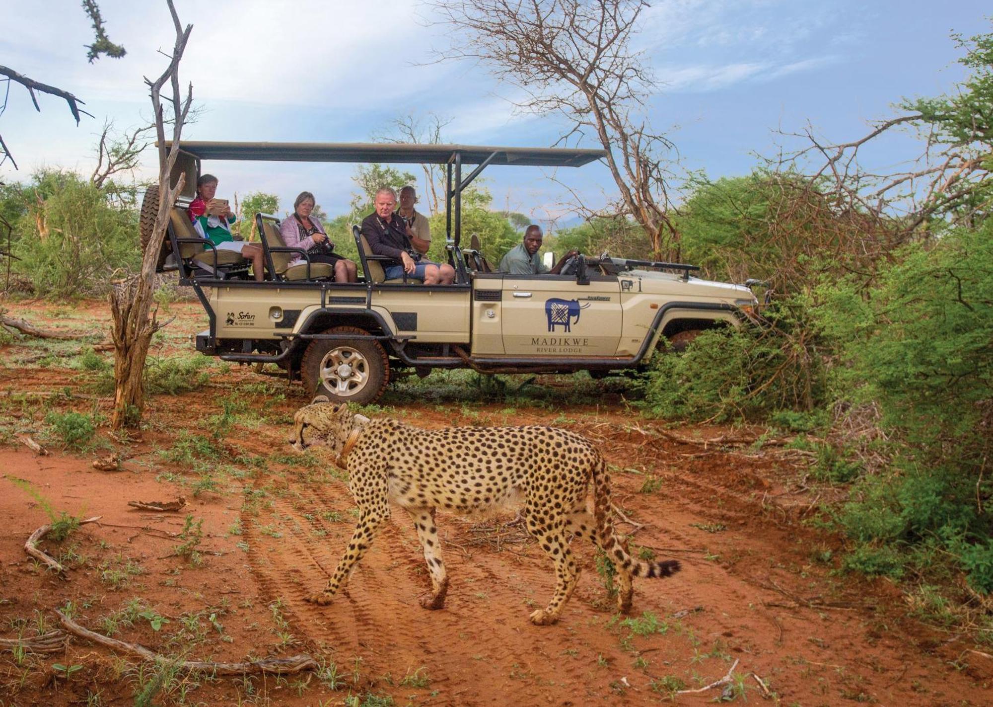 Madikwe River Lodge By Dream Resorts Madikwe Game Reserve Bagian luar foto
